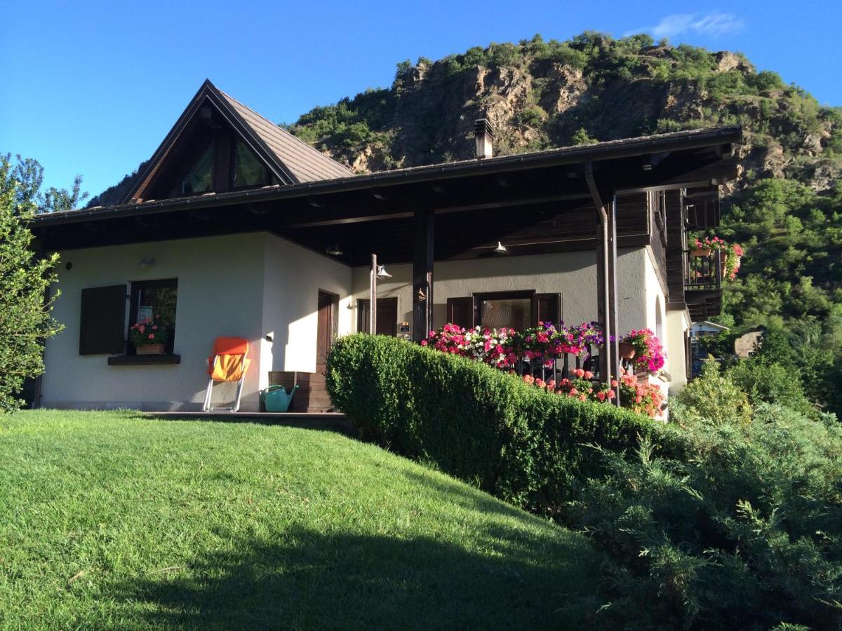 B&B Scotty & Co. Susa Esterno foto
