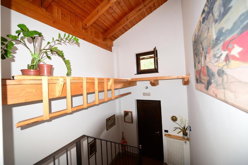 B&B Scotty & Co. Susa Esterno foto