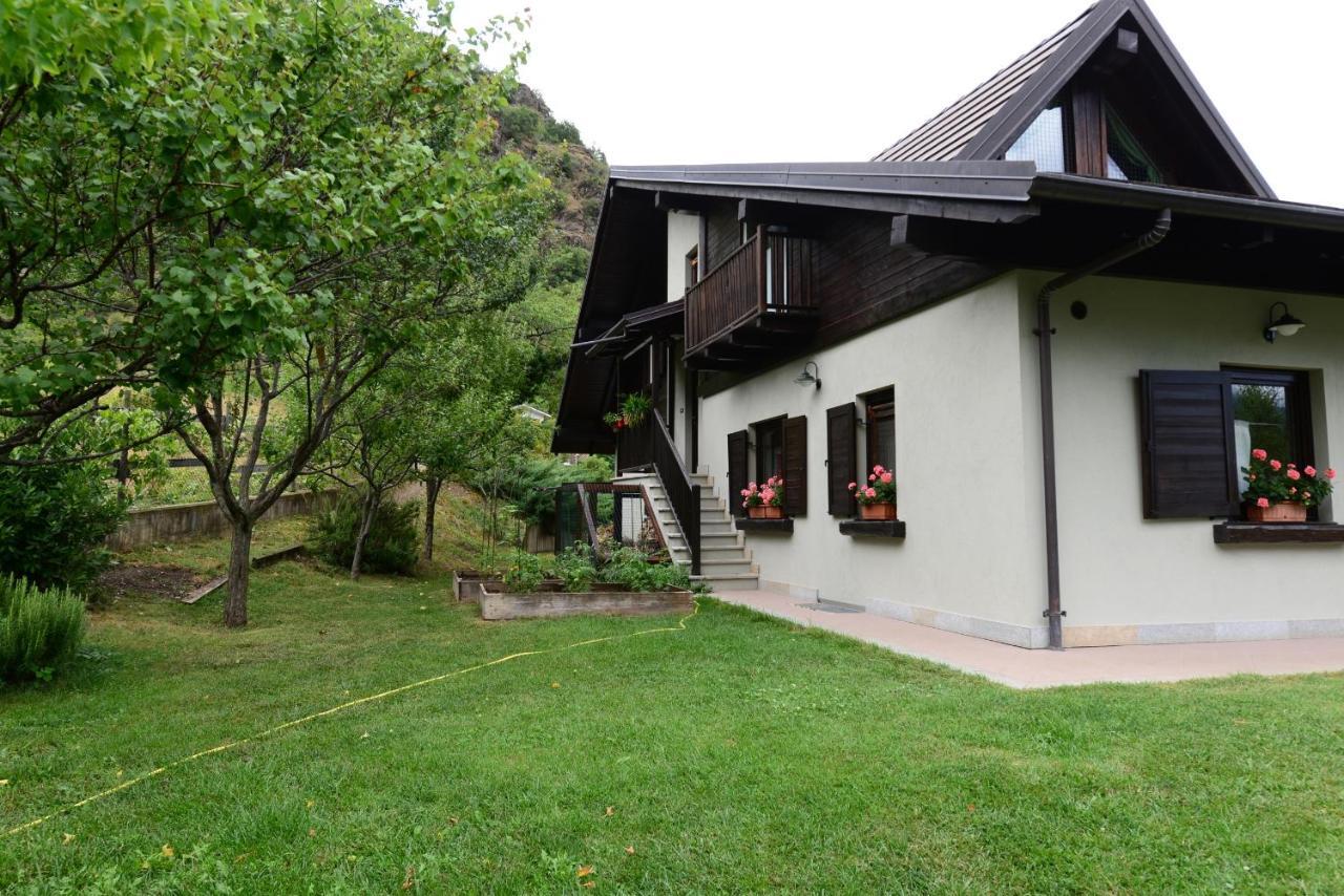 B&B Scotty & Co. Susa Esterno foto